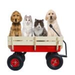Children's Outdoor All-Terrain Pull Wagon with Wooden Railing Red